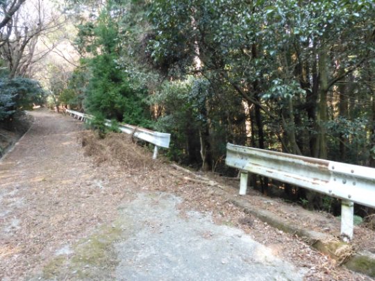 画像13